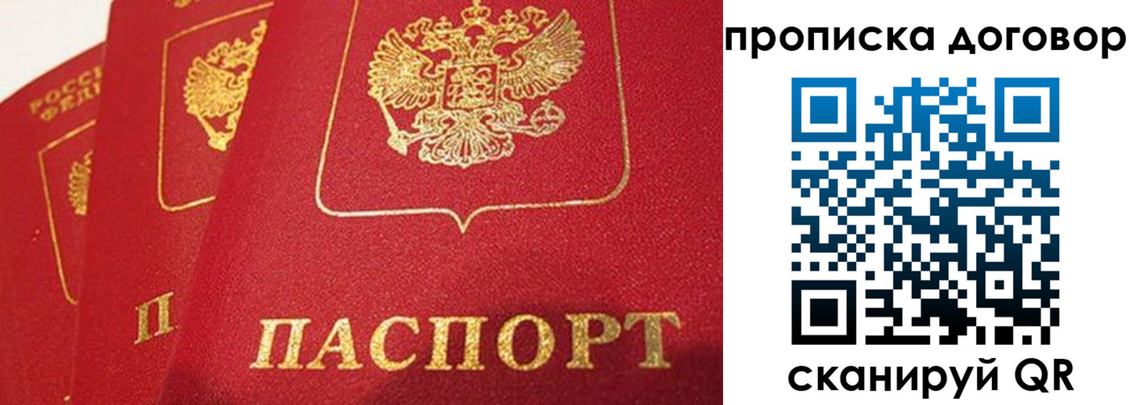 найти адрес прописки в Лесозаводске
